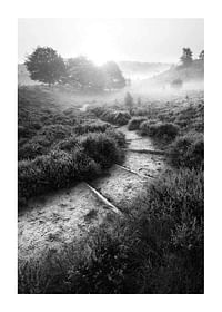 Foggy Road-1