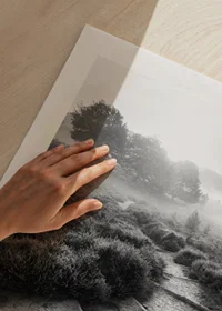 Svartvitt fotografi av smal stig i dimmigt naturlandskap-9