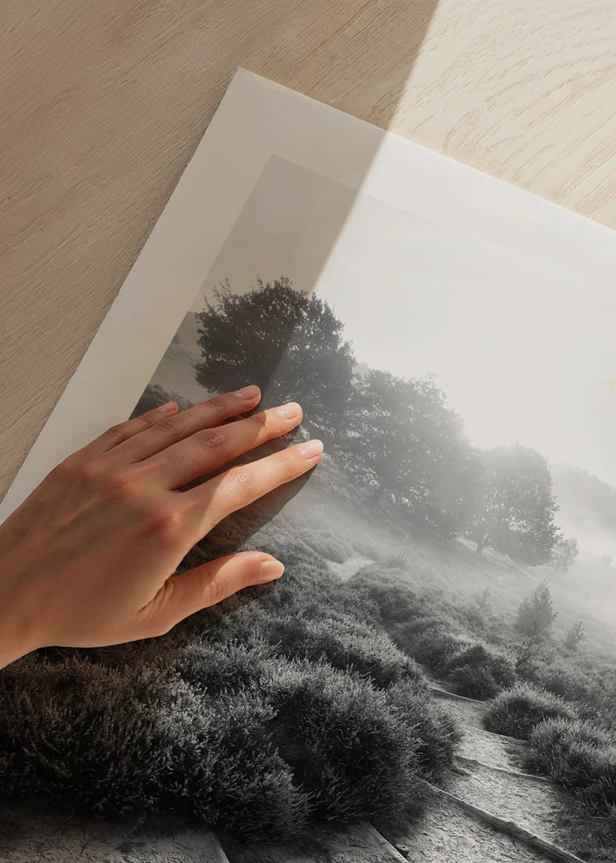 Svartvitt fotografi av smal stig i dimmigt naturlandskap-12