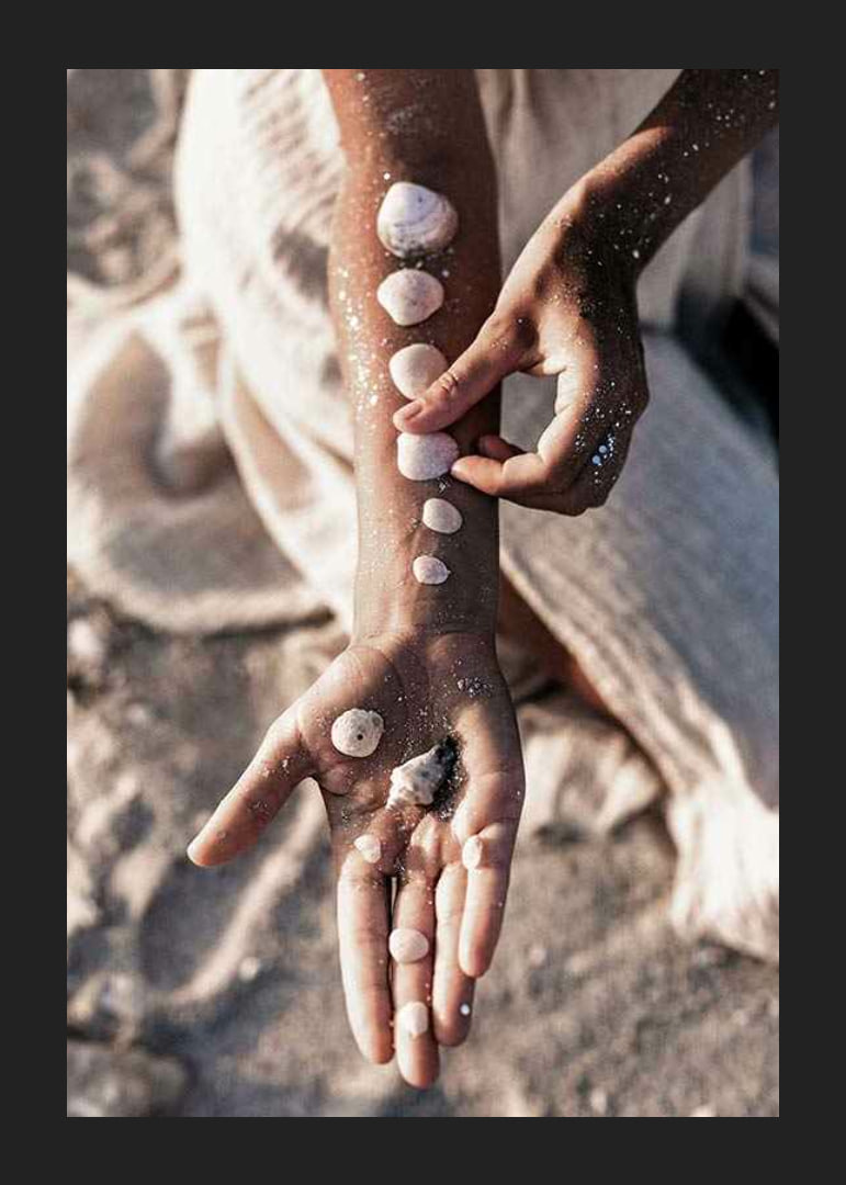 Photograph of arm with white shells on sunny beach-12