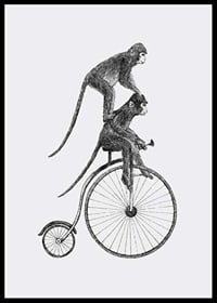 Svartvit illustration av två apor på en gammaldags cykel-6