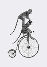 Svartvit illustration av två apor på en gammaldags cykel-7