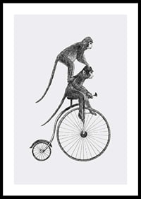 Svartvit illustration av två apor på en gammaldags cykel-0
