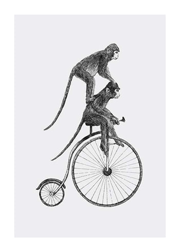 Poster Monkeys On A Bike