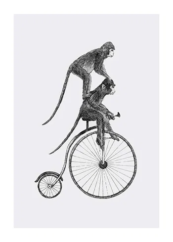 Poster Monkeys On A Bike