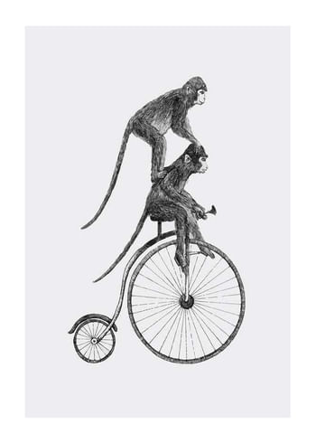 Plagát Monkeys On A Bike