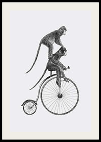Svartvit illustration av två apor på en gammaldags cykel-2