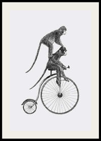 Illustration en noir et blanc de deux singes sur un vélo à l'ancienne-2