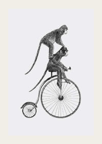 Illustration en noir et blanc de deux singes sur un vélo à l'ancienne-3