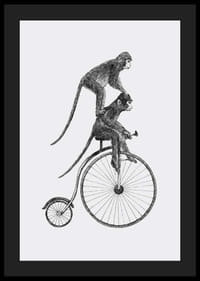 Illustration en noir et blanc de deux singes sur un vélo à l'ancienne-4