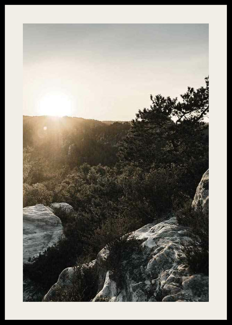 Photographie du lever du soleil sur la forêt et les falaises rocheuses-12