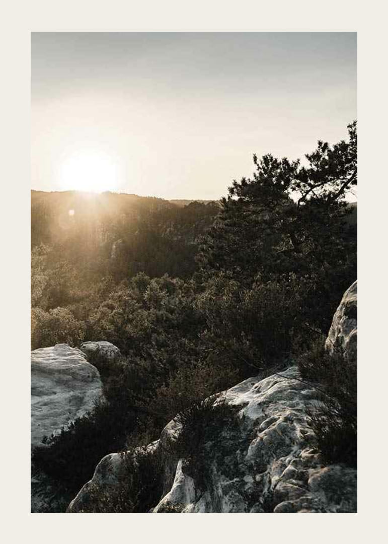 Photographie du lever du soleil sur la forêt et les falaises rocheuses-12