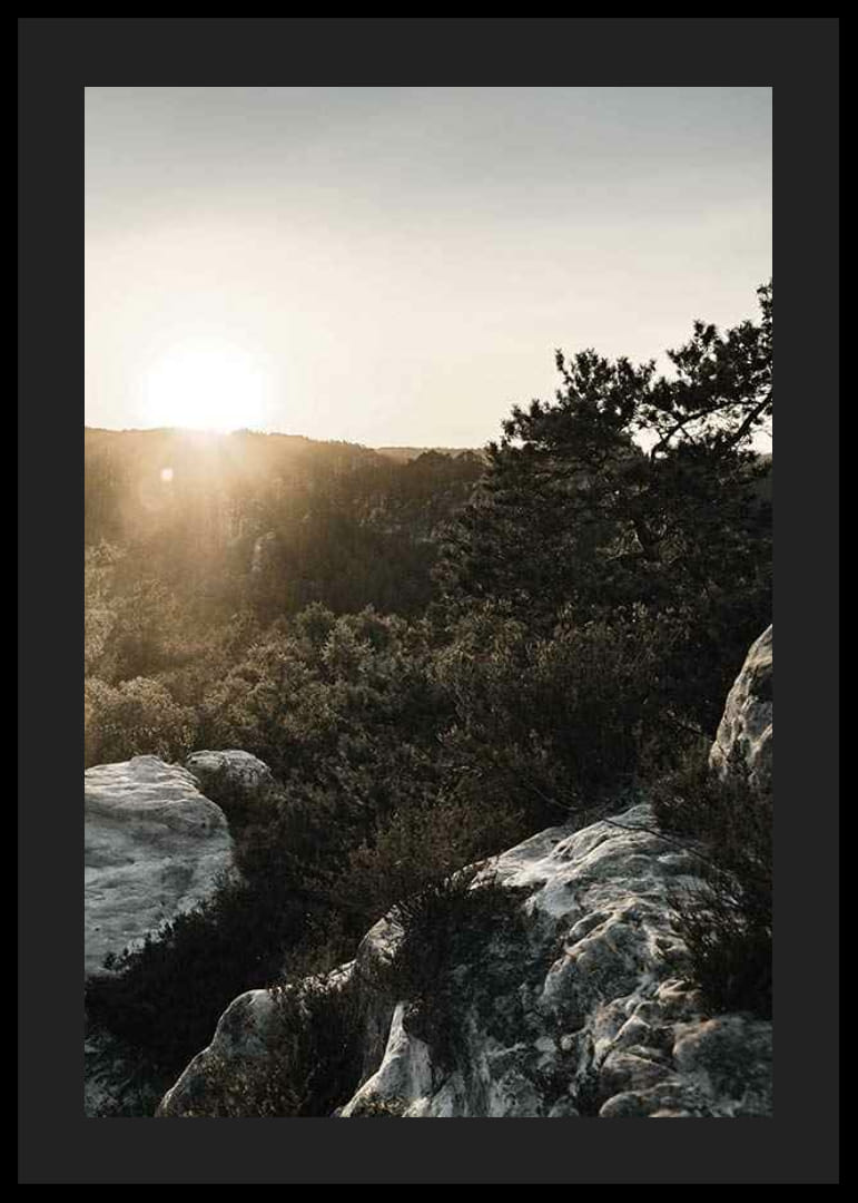 Photographie du lever du soleil sur la forêt et les falaises rocheuses-12
