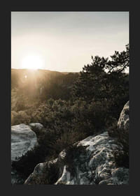Photographie du lever du soleil sur la forêt et les falaises rocheuses-5