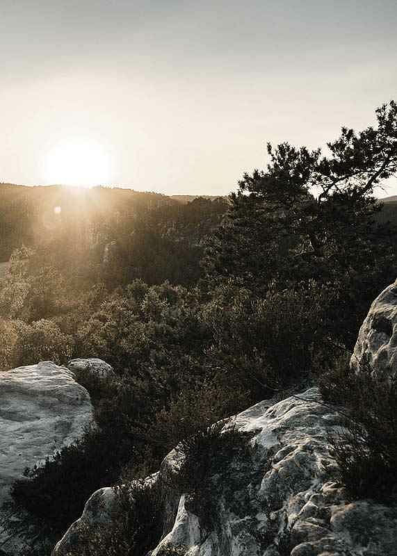 Sunrise In Switzerland No1-12