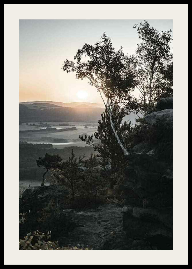 Photographic Swiss landscape at sunrise with trees and mountains-12