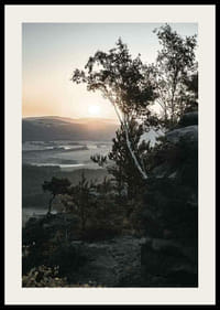 Photographic Swiss landscape at sunrise with trees and mountains-2