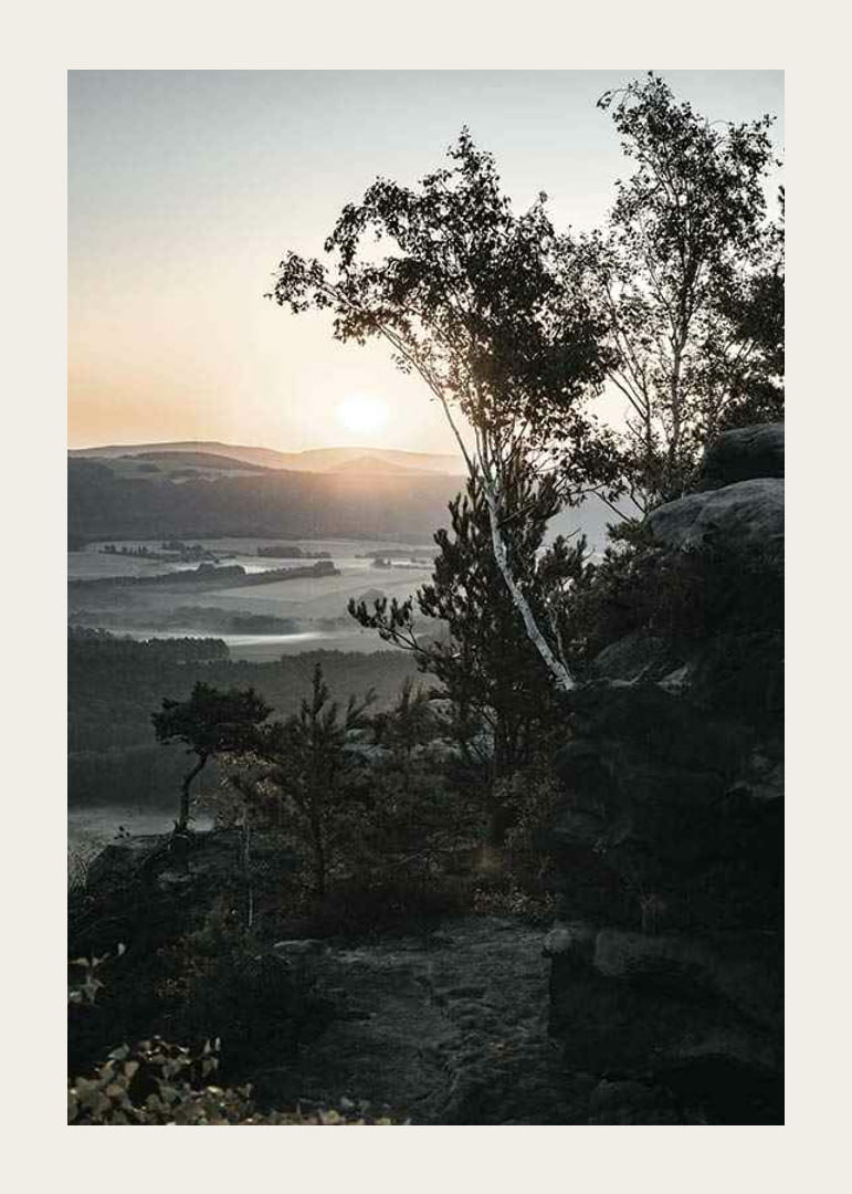 Photographic Swiss landscape at sunrise with trees and mountains-12