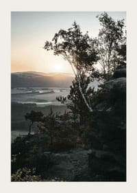 Photographic Swiss landscape at sunrise with trees and mountains-3