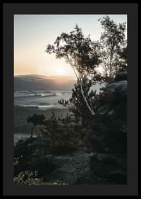Photographic Swiss landscape at sunrise with trees and mountains-4