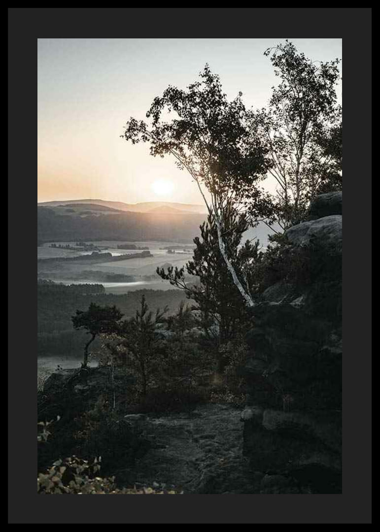 Photographic Swiss landscape at sunrise with trees and mountains-12