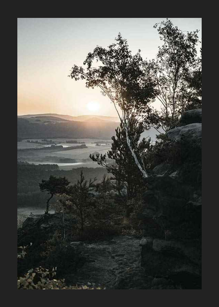 Photographic Swiss landscape at sunrise with trees and mountains-12