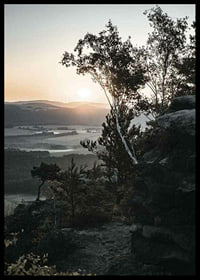 Photographic Swiss landscape at sunrise with trees and mountains-6