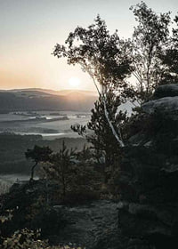 Photographic Swiss landscape at sunrise with trees and mountains-7