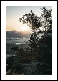 Photographic Swiss landscape at sunrise with trees and mountains-0