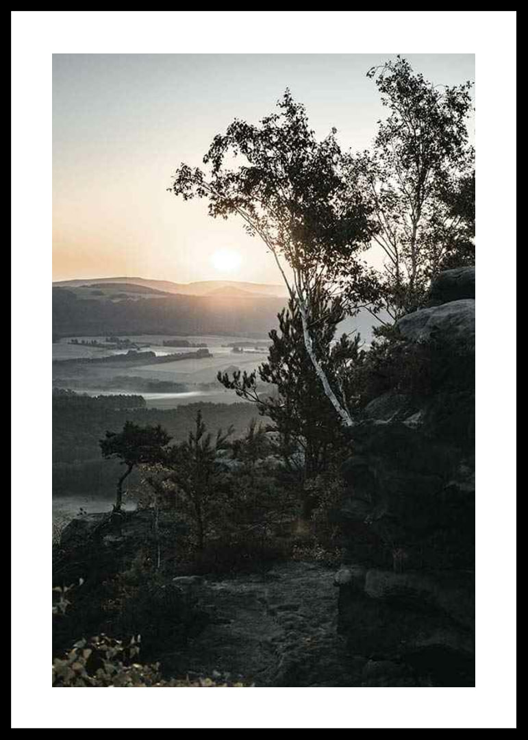 Photographic Swiss landscape at sunrise with trees and mountains-12