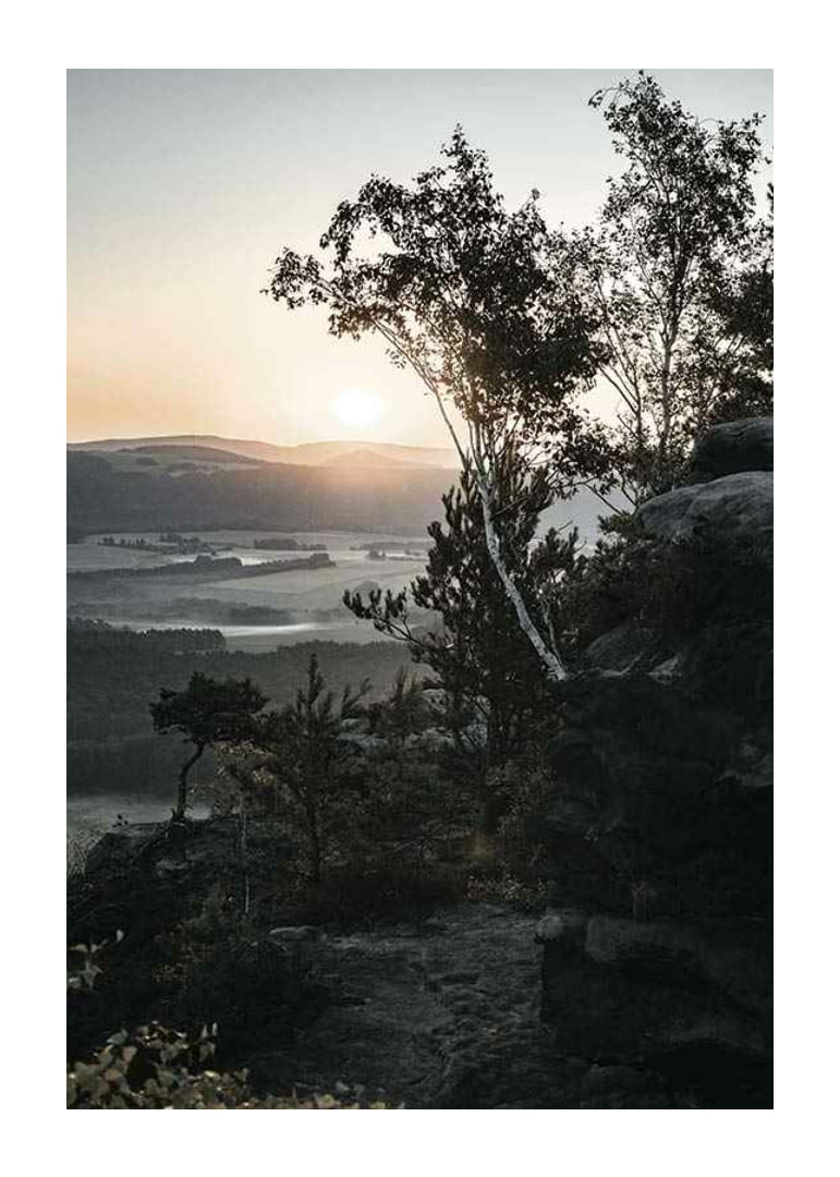 Photographic Swiss landscape at sunrise with trees and mountains-12