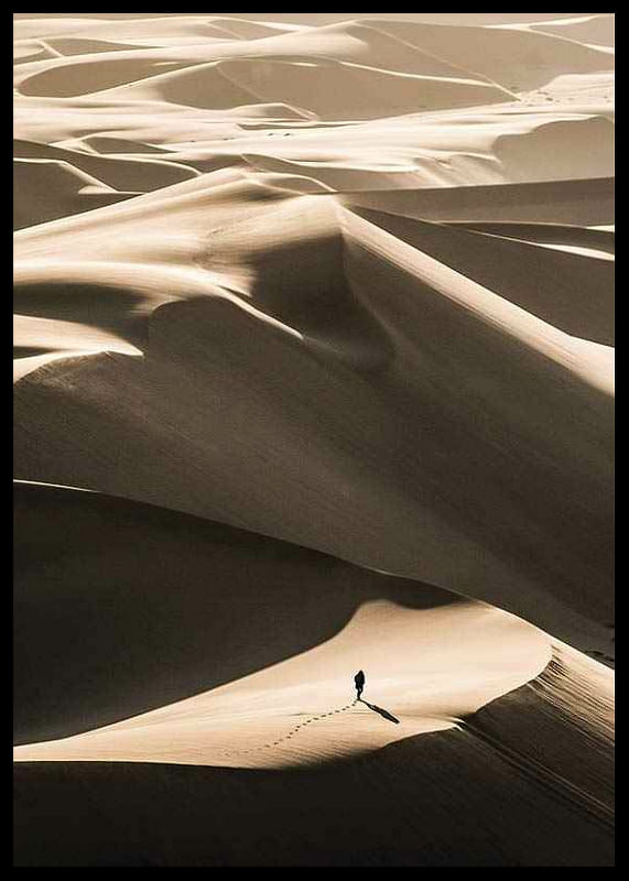 Walking In Desert-12