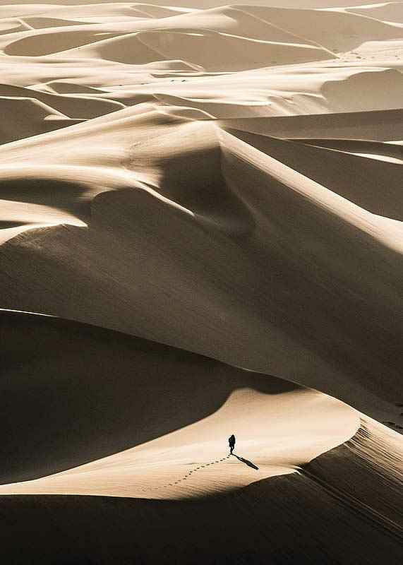 Walking In Desert-12