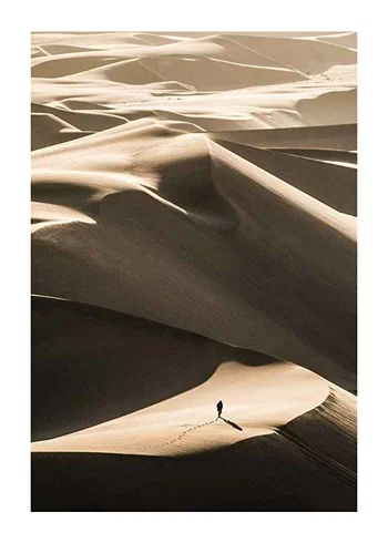 Poster Walking In Desert