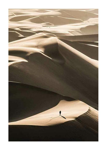 Plakat Walking In Desert