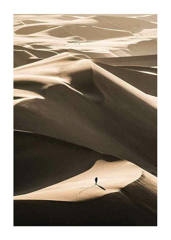 Plagát Walking In Desert