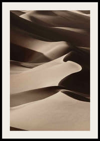 Nuotrauka, kurioje matyti švelnių, smėlio atspalvių banguojančios smėlio kopos-2