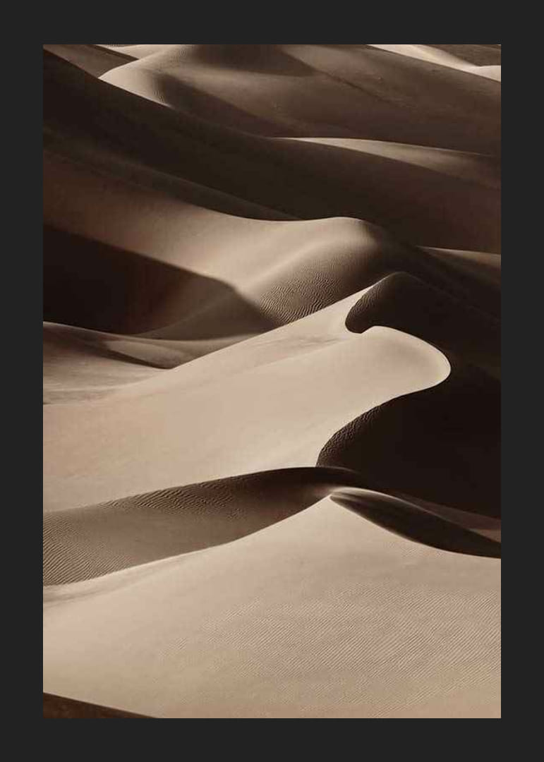 Nuotrauka, kurioje matyti švelnių, smėlio atspalvių banguojančios smėlio kopos-12