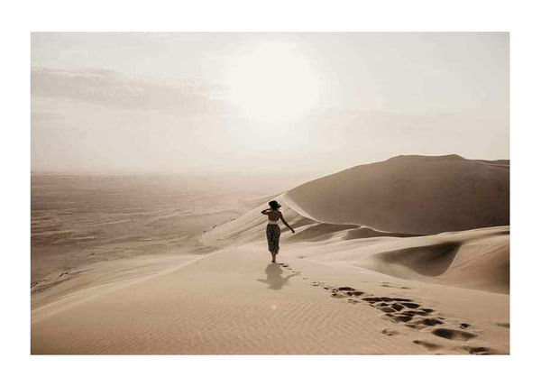 Plagát Desert View