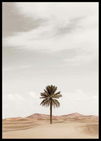 Photographic palm tree in desert with sand dunes and bright sky-6