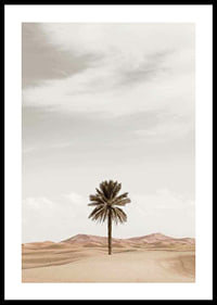 Photographic palm tree in desert with sand dunes and bright sky-0