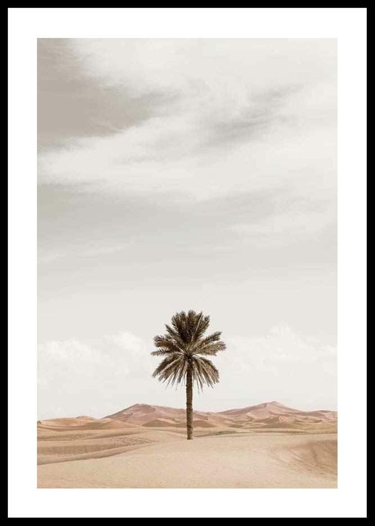 Photographic palm tree in desert with sand dunes and bright sky-12