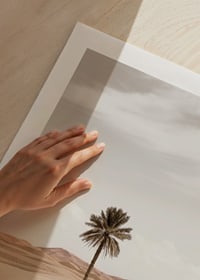 Photographic palm tree in desert with sand dunes and bright sky-9