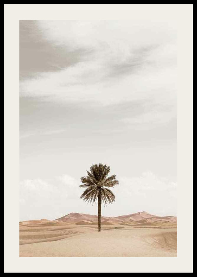Photographic palm tree in desert with sand dunes and bright sky-12