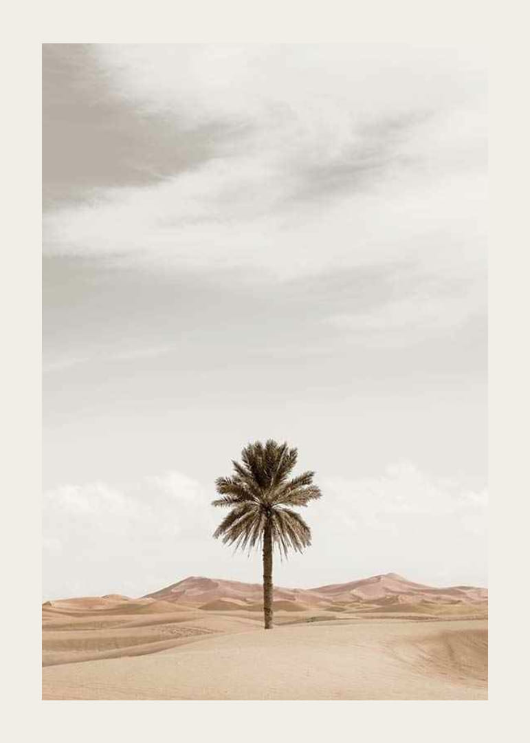 Palma fotografica nel deserto con dune di sabbia e cielo luminoso-12