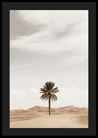 Photographic palm tree in desert with sand dunes and bright sky-4