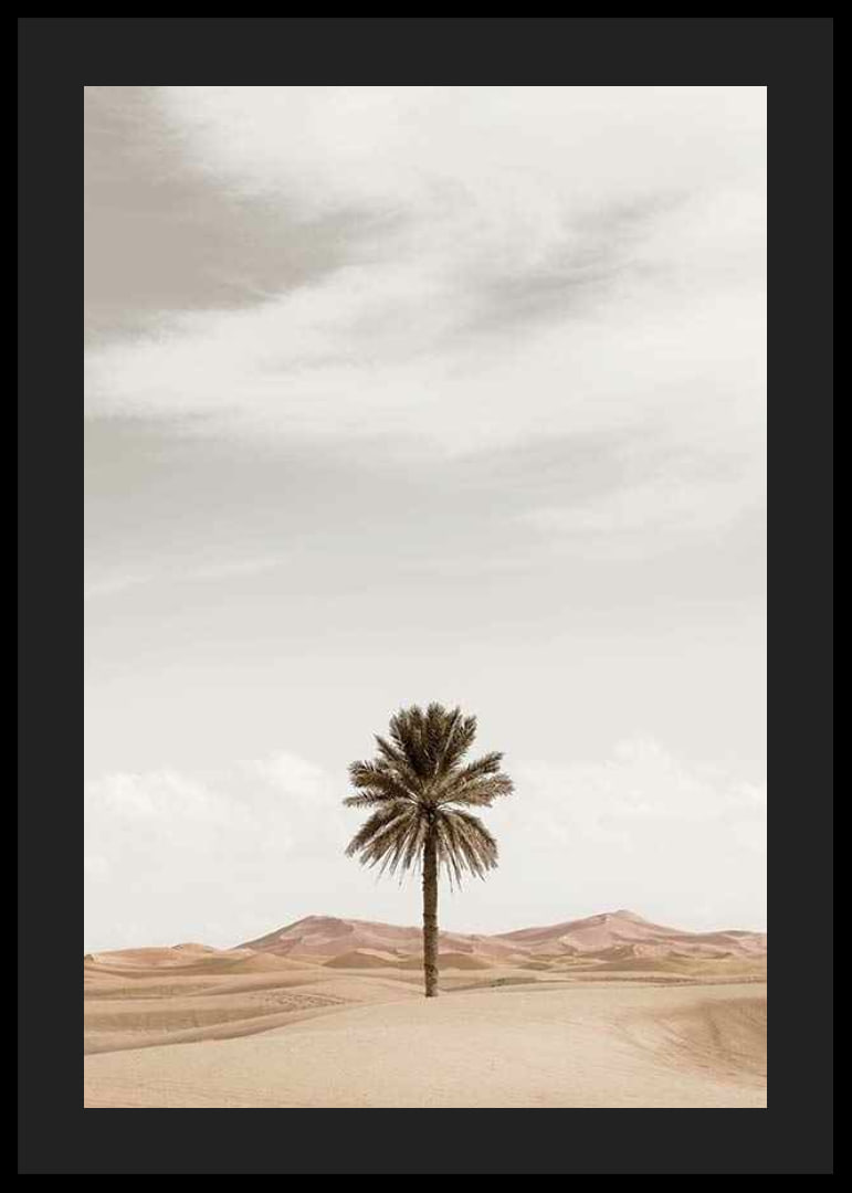 Photographic palm tree in desert with sand dunes and bright sky-12