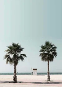 Photographic view of two palm trees and lifeguard tower at beach-7