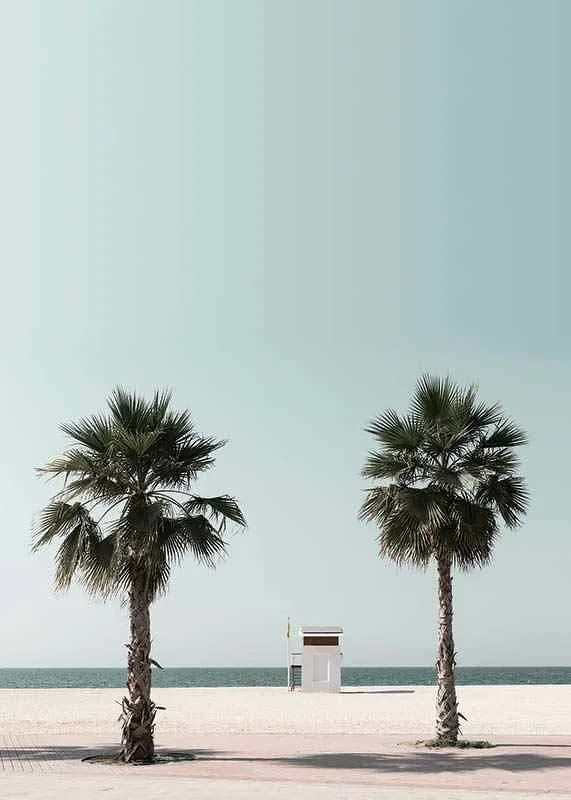 Photographic view of two palm trees and lifeguard tower at beach-12