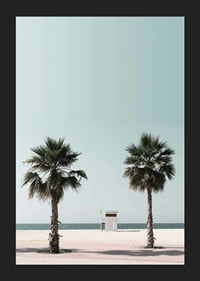 Vista fotográfica de duas palmeiras e torre de salva-vidas na praia-5